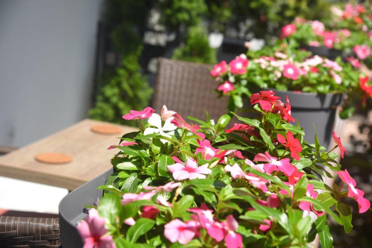 Dekart 2 Apartment Ni 외부 사진
